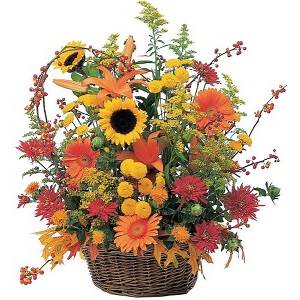  Chrysanthemums, gerberas, lilies and sunflowers in fall basket - With gorgeous fall colors of yellow, rust and orange, this spectacular arrangement captures the essence of this colorful season.