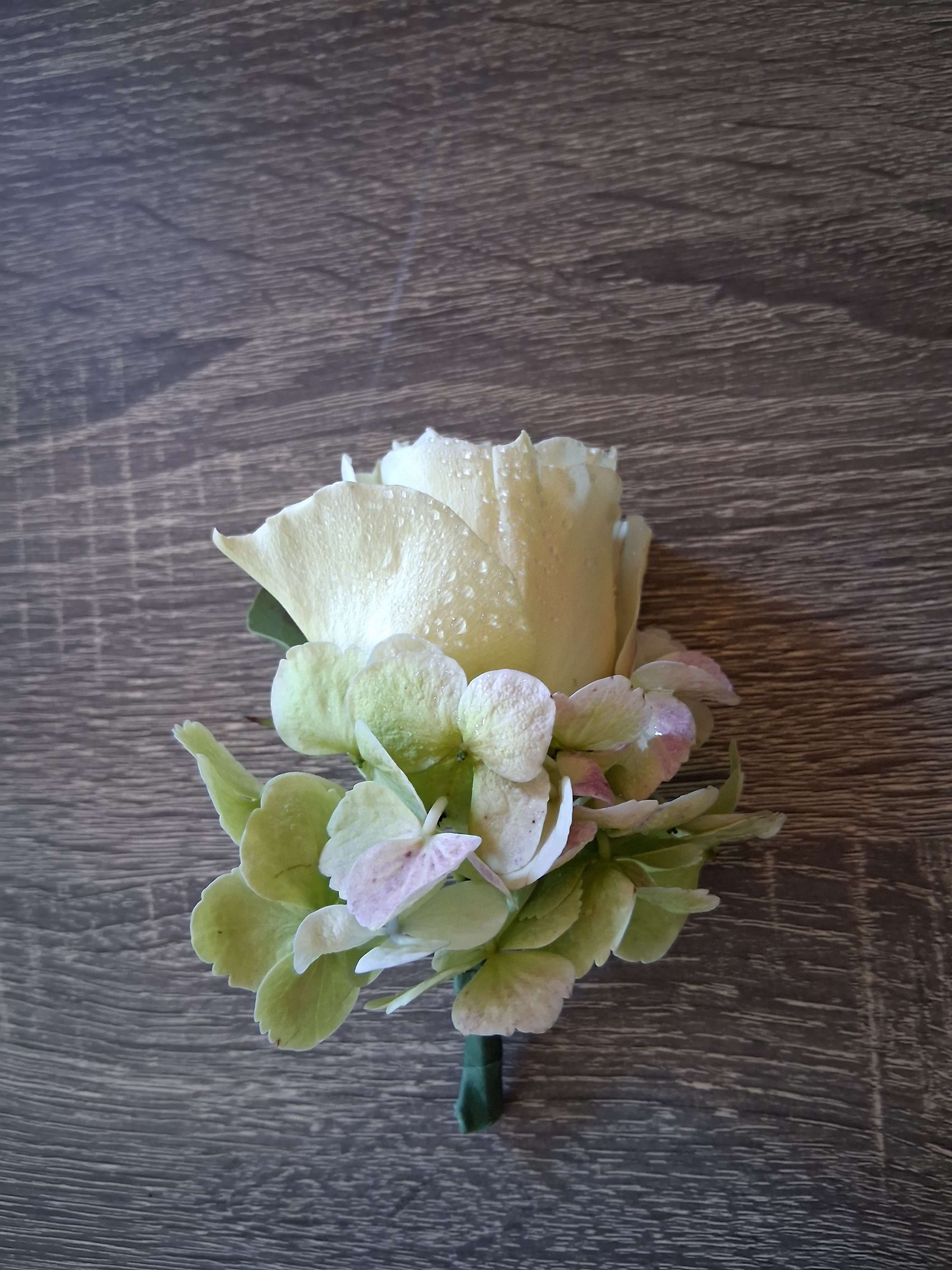 Elizabeth wedding groomsman boutonniere  - Beautiful white small garden rose with wantage white/green hydrangea