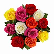 ***This Weeks Special*** ***This Weeks Special*** - Upgrade any arrangement order by including an additional half dozen roses for only $20.00 more a regular $30.00-35.00 value. Just add to cart with arrangement purchase.