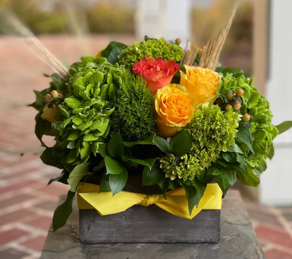 Whispering Wheat - Whispering Wheat | Wilmington, Delaware Florist Celebrate the golden beauty of autumn with Whispering Wheat, a rustic yet elegant floral arrangement handcrafted by Petals Flowers and Fine Gifts in Wilmington, Delaware. This seasonal design features lush green hydrangea, textured green trichilium, vibrant orange roses, sunny yellow roses, and natural wheat stems for a warm, harvest-inspired look. Designed in a rectangular wooden container and finished with a cheerful yellow ribbon, Whispering Wheat perfectly captures the cozy charm of the fall season. Perfect as a Thanksgiving centerpiece, a seasonal gift, or cheerful décor for home or office, Whispering Wheat brings together fresh blooms and rustic accents in a design that’s both inviting and timeless. Its combination of rich color and natural texture makes it an ideal choice for fall gatherings, birthdays, anniversaries, or simply sending a touch of autumn joy to someone special. As your trusted local florist in Wilmington, Delaware, Petals Flowers and Fine Gifts creates unique, luxury floral designs using premium flowers and seasonal accents. We proudly offer same-day, tax-free flower delivery throughout Wilmington, Hockessin, Newark, Chadds Ford, Glen Mills, Kennett Square, and surrounding communities, ensuring your flowers arrive fresh, beautiful, and ready to enjoy. 