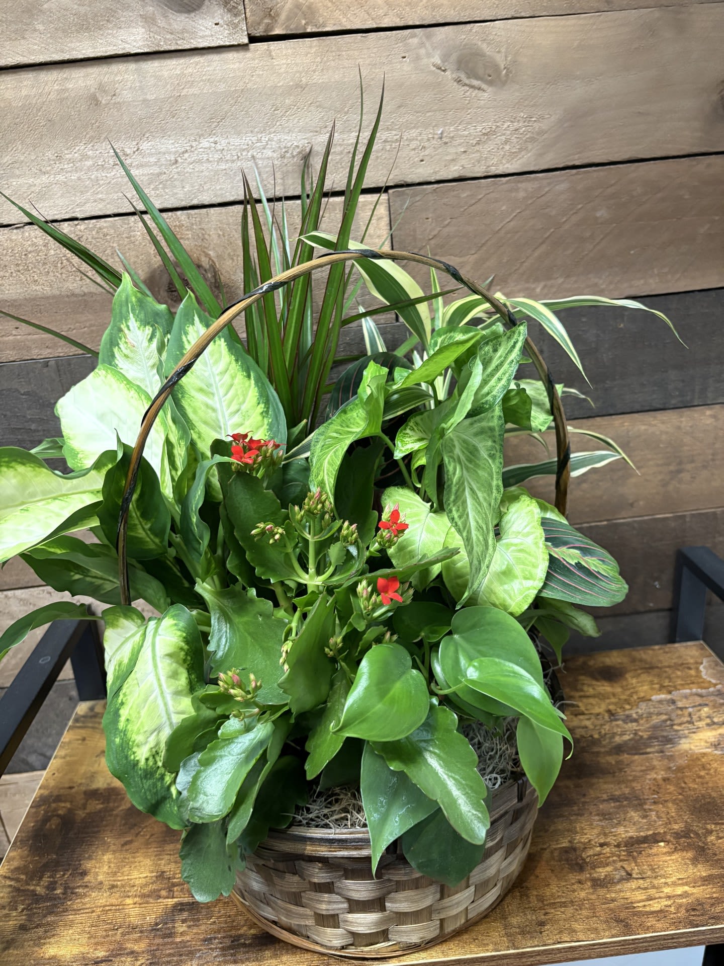 Botanical Bundle - A charming, long-lasting floral basket—perfect for offices, birthdays, or adding a touch of beauty anywhere in your home.