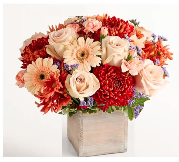  A Warm Autumnal Arrangement - arrangement with sand-color roses, peach Gerbera daisies and mini carnations, bronze mum disbuds and daisy poms, and purple limoniums, accented with assorted greenery