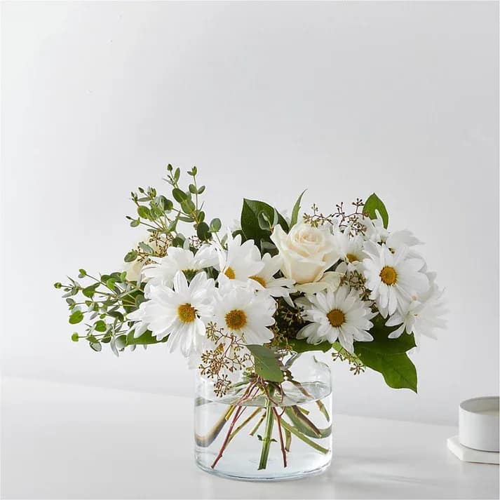 Fresh Linen Bouquet - Let the breeze run through the white roses and eucalyptus for an elegant botanical touch to any interior. Details The Deluxe Bouquet is approximately 13&quot;H x 17&quot;W. Designed by florists, ready to display. For long–lasting blooms, replace the water daily. We suggest trimming the stems every couple days. Pet Safety Precautions: This bouquet or plant may include flowers and foliage that are known to be toxic to pets. To keep them safe, be sure to keep this arrangement out of your pet's reach.