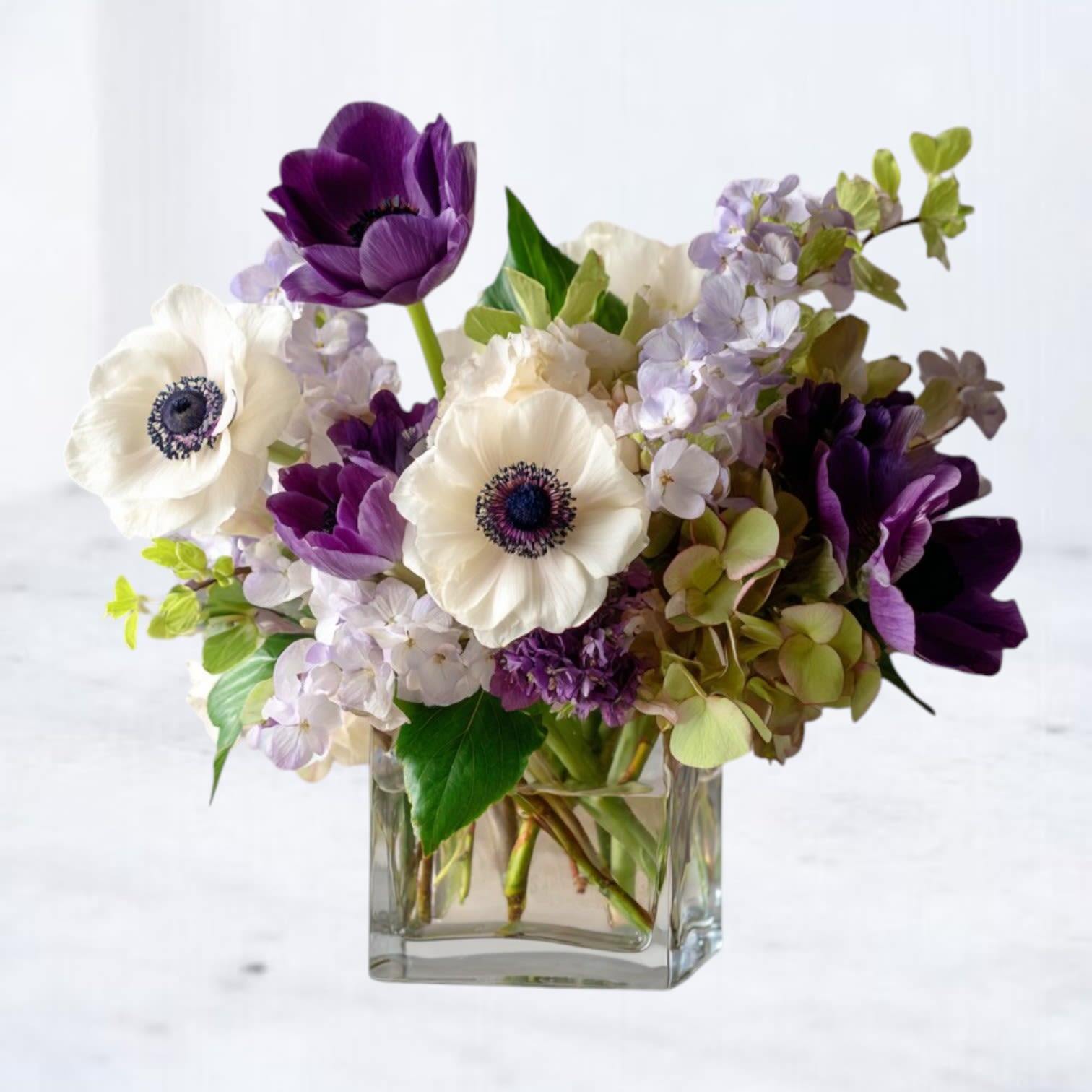 Indigo Moonrise Indigo Moonrise - Indigo Moonrise is a luxurious blend of moody blues and creamy whites, artfully arranged to evoke a quiet sense of wonder and sophistication. Whether you’re sending a birthday surprise, sympathy flowers, or a just-because gift, Indigo Twilight makes a lasting impression. Perfect for flower delivery in Houston, The Woodlands, Spring, Conroe, and Magnolia — with same-day options available.