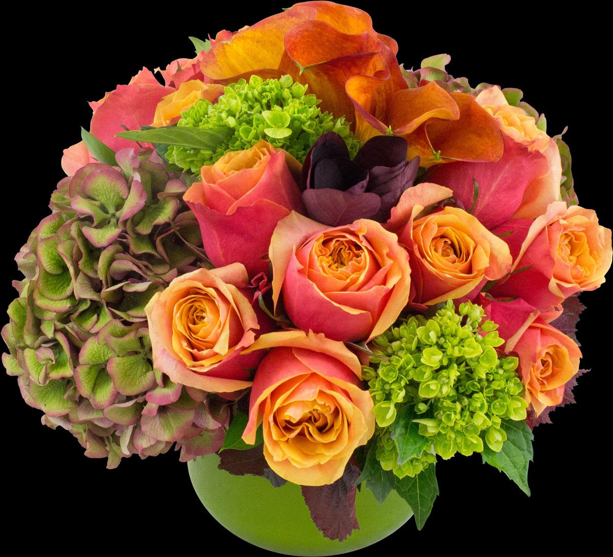 Fall Upscale Flower Arrangement - This very modern fall design is filled with the most beautiful blooms of hydrangea, cherry brandy orange roses and calla lilies. It is a fall favorite with a look of elegance and is perfect for any occasion.