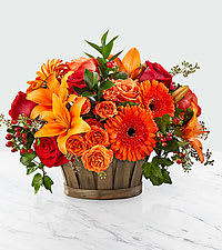 Harvest Memories basket - As the seasons change, give a gift that will leave a lasting smile on their face. With red roses, orange spray roses, orange gerbera daisies, and an assortment of lush greens, this array of harvest hues is a memorable bouquet, perfect for every Autumn moment. Presented in a rustic, dark wooden basket to create an arrangement ready to be used as a centerpiece or decorate a countertop or console table, this makes a perfect seasonal gift. 