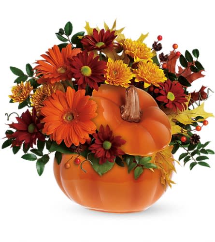 Teleflora's Country Pumpkin - by Flowers by Dreama Dawn - Perfect for a fall centerpiece birthday or Halloween party this flower-filled ceramic pumpkin is a real cutie-pie. Bright and light orange gerberas bronze cushion spray chrysanthemums red daisy spray chrysanthemums huckleberry yellow oak leaves and more fill a hand-painted ceramic pumpkin that can be used over and over again. In fact this pretty pumpkin is destined to carve out a special place in someone's home for years to come!Approximately 13 1/2&quot; W x 12&quot; H Orientation: One-Sided As Shown : T175-1ADeluxe : T175-1BPremium : T175-1C