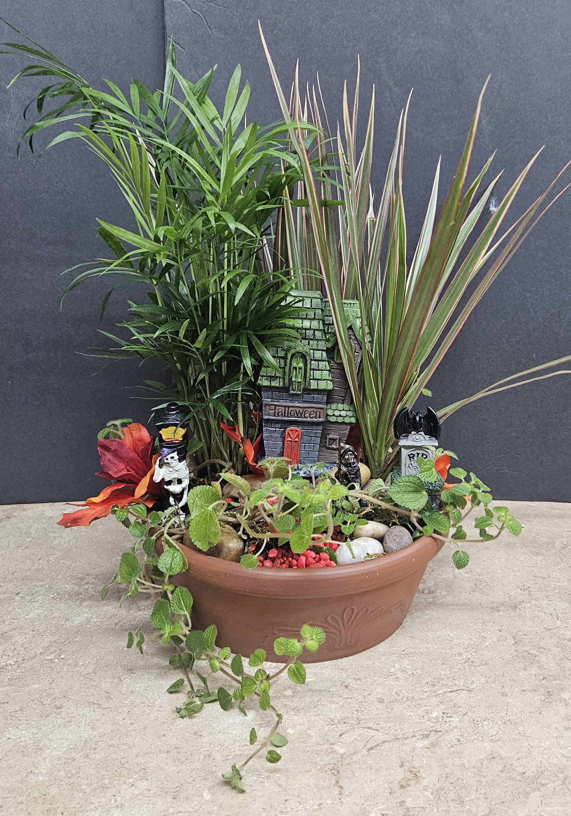 Spooky Dish Garden - Beautiful dish garden with a touch of scary and Halloween decor.