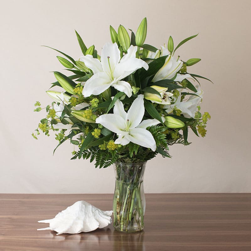 Loving Lilies  Loving Lilies  - Make the holidays or any special occasion unforgettable with our elegant arrangement packed with the popular White Stargazer Lily. This stunning piece is sure to impress with its timeless beauty and graceful charm.  Key Features:  Popular White Stargazer Lily: Highlighting the beloved White Stargazer Lily, known for its exquisite fragrance and stunning appearance.  Perfect for Special Occasions: Ideal for holidays, birthdays, anniversaries, or any celebration where you want to convey elegance and sophistication.  Impressive Design: Crafted to be a standout centerpiece, showcasing the natural beauty of the White Stargazer Lily in a tasteful and elegant arrangement.  Sure to Impress: Guaranteed to leave a lasting impression with its classic appeal and impeccable presentation.  Celebrate in style with our Elegant White Stargazer Lily Arrangement, and add a touch of elegance and grace to your special moments and festive occasions.