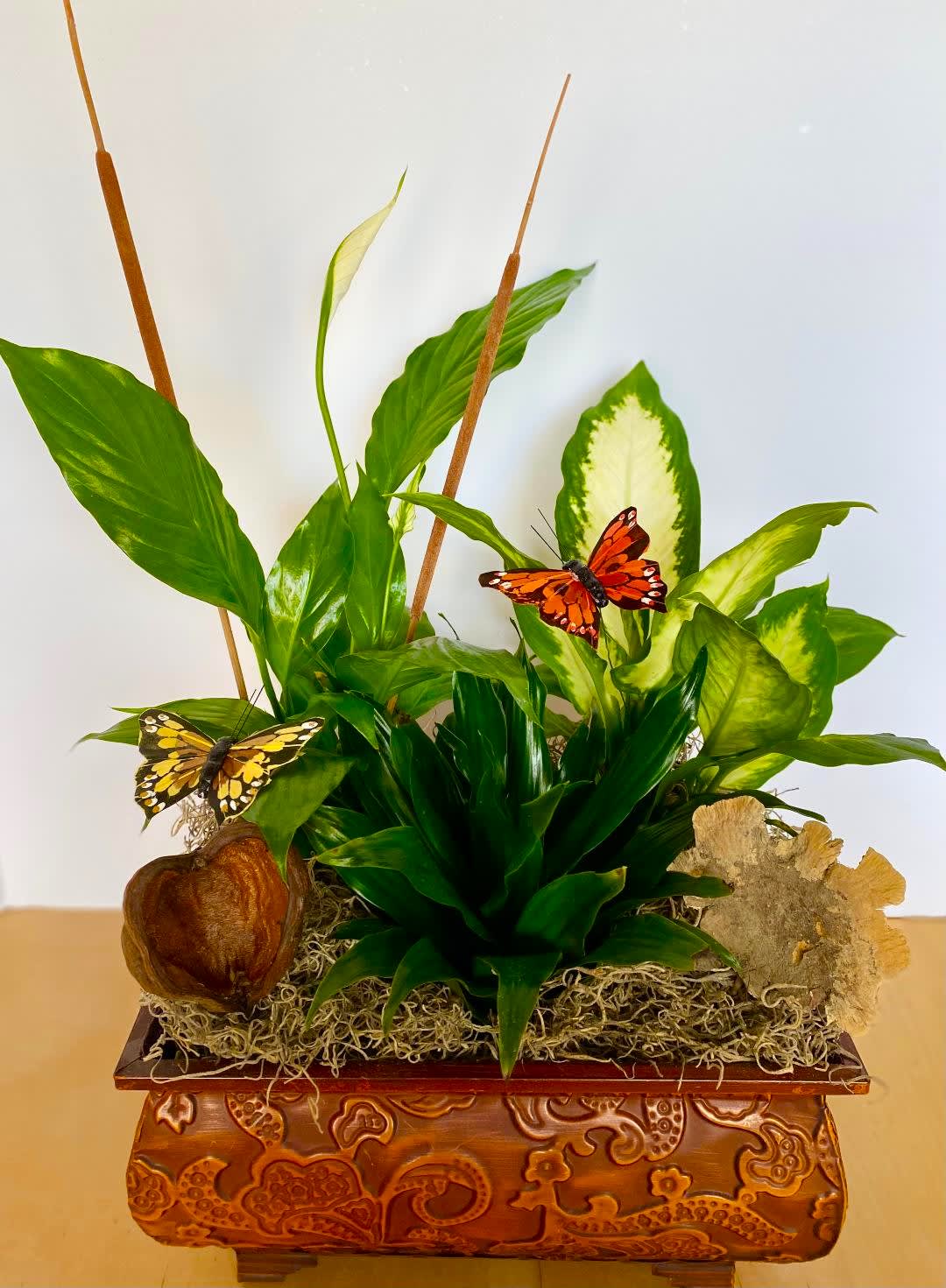 Compact Decorative Dish Garden - This elegant Dish Garden includes 4 lush plants that will add fresh air to any room and is perfect for just about any occasion. All 4 items are set in a decorative metal container and accented with natural accents such as mushroom caps, cattails, butterflies, and badam nuts. This dish garden measures approx. 14&quot;W x 18&quot;H. Container may vary.