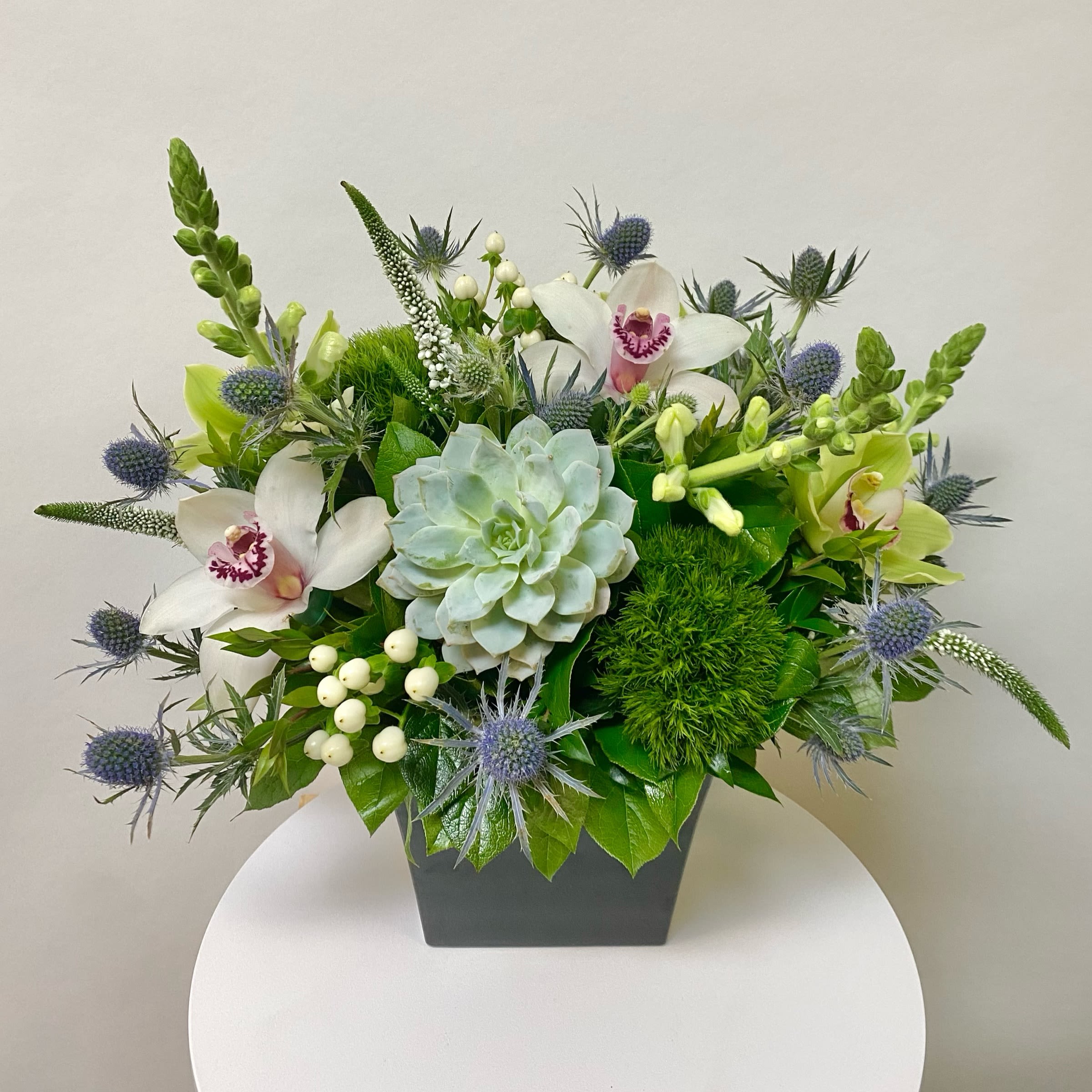 Ocean Song Ocean Song - This includes a Succulent Green Ball Trix, White Cymbidium Orchid Blooms, Green Cymbidium Orchid Blooms, Blue Thistle, White Snapdragon, White Veronica and White or Green Hypericum Berries in a Square Black Container. Or as Similar as Possible.