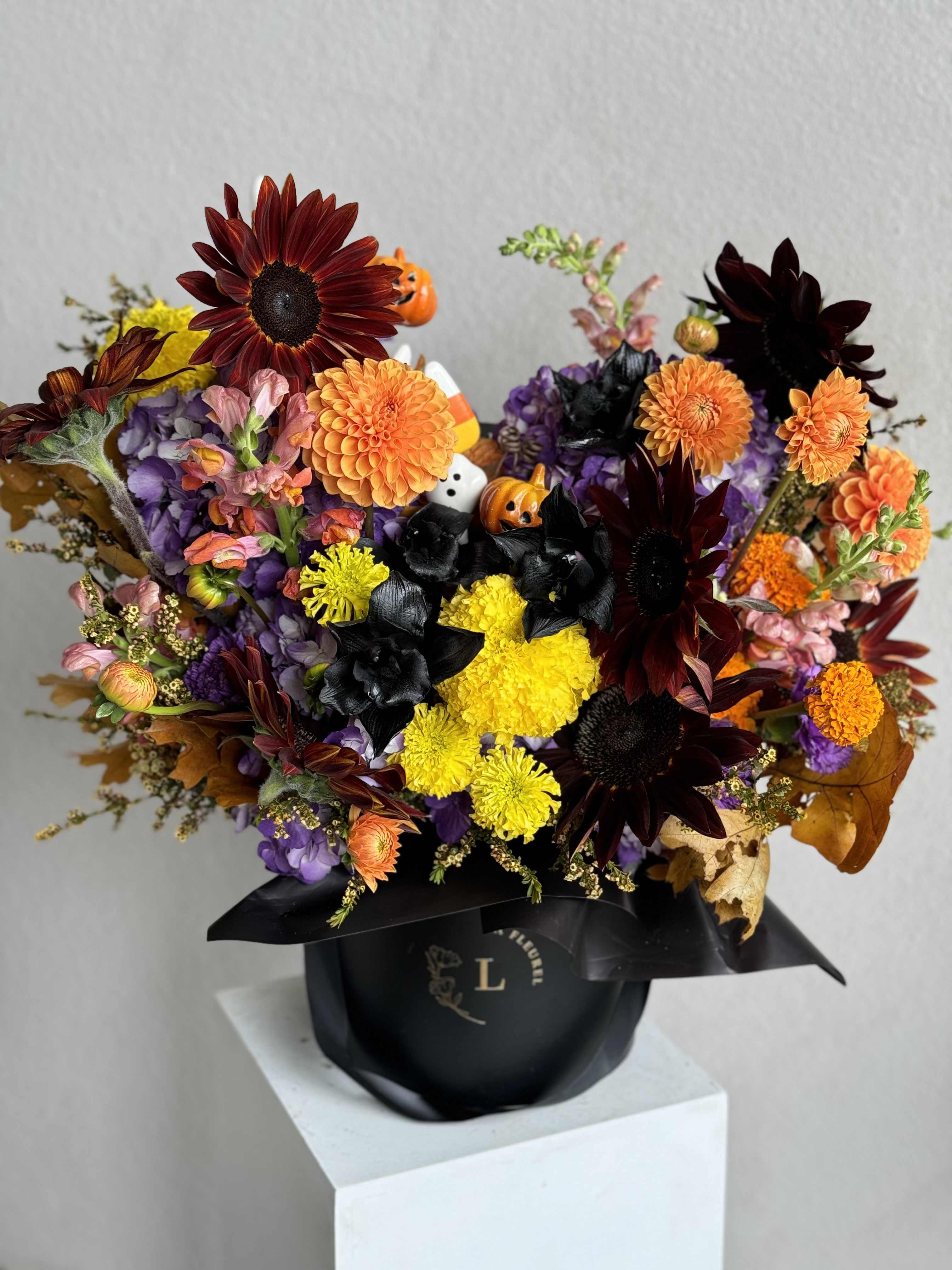 Halloween Arrangement - Embrace the spirit of Halloween with our luxurious arrangement featuring moody deep purple hydrangeas, velvety black roses, fiery orange dahlias, and exotic cymbidium orchids.   These striking blooms are artfully arranged with lush greenery and dark accents, creating a spellbinding centerpiece that brings a touch of dark elegance to your spooky festivities.