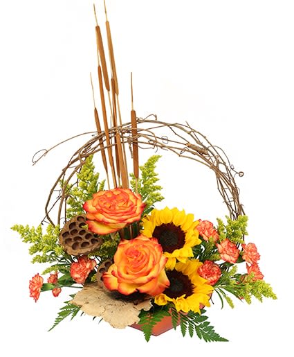 November Skies - November Skies showcases the wonderful sunsets of late fall. Oranges, Yellows, Auburn, and Soft Browns. Comes placed into a designer's choice of square plastic container. Created with dried accents of Cattails, mushroom, lotus pod and twigs. A GREAT show stopper for the table or entryway. Substitution notice: We may represent an overall theme or look and include a one-of-a-kind container which cannot be exactly replicated. Even if we cannot guarantee precise match with the representational photo, its feel and theme will match. Substitutions of flowers or containers might happen due to weather, seasonality and market conditions. We always ensure that the style, theme and color scheme of your arrangement is preserved and will only substitute items of equal or higher value.