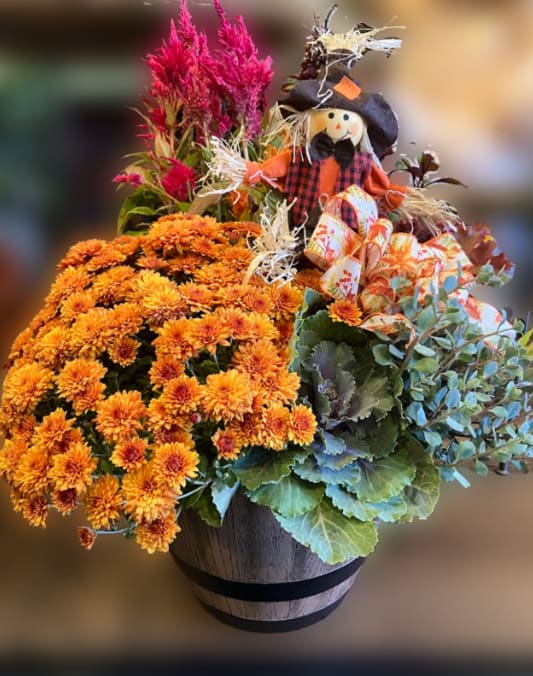 Autumn Porch Pot - Bring a touch of harvest charm to your doorstep with our festive Autumn Porch Pots! Each planter is overflowing with seasonal favorites like vibrant celosia, cheerful mums, hardy sedum, decorative kale, and more. Topped with a whimsical scarecrow pick and a festive bow, these porch pots make the perfect accent for fall decorating. Durable and full of color, they’ll keep your porch looking warm and welcoming all season long. **Only 2 available!** 