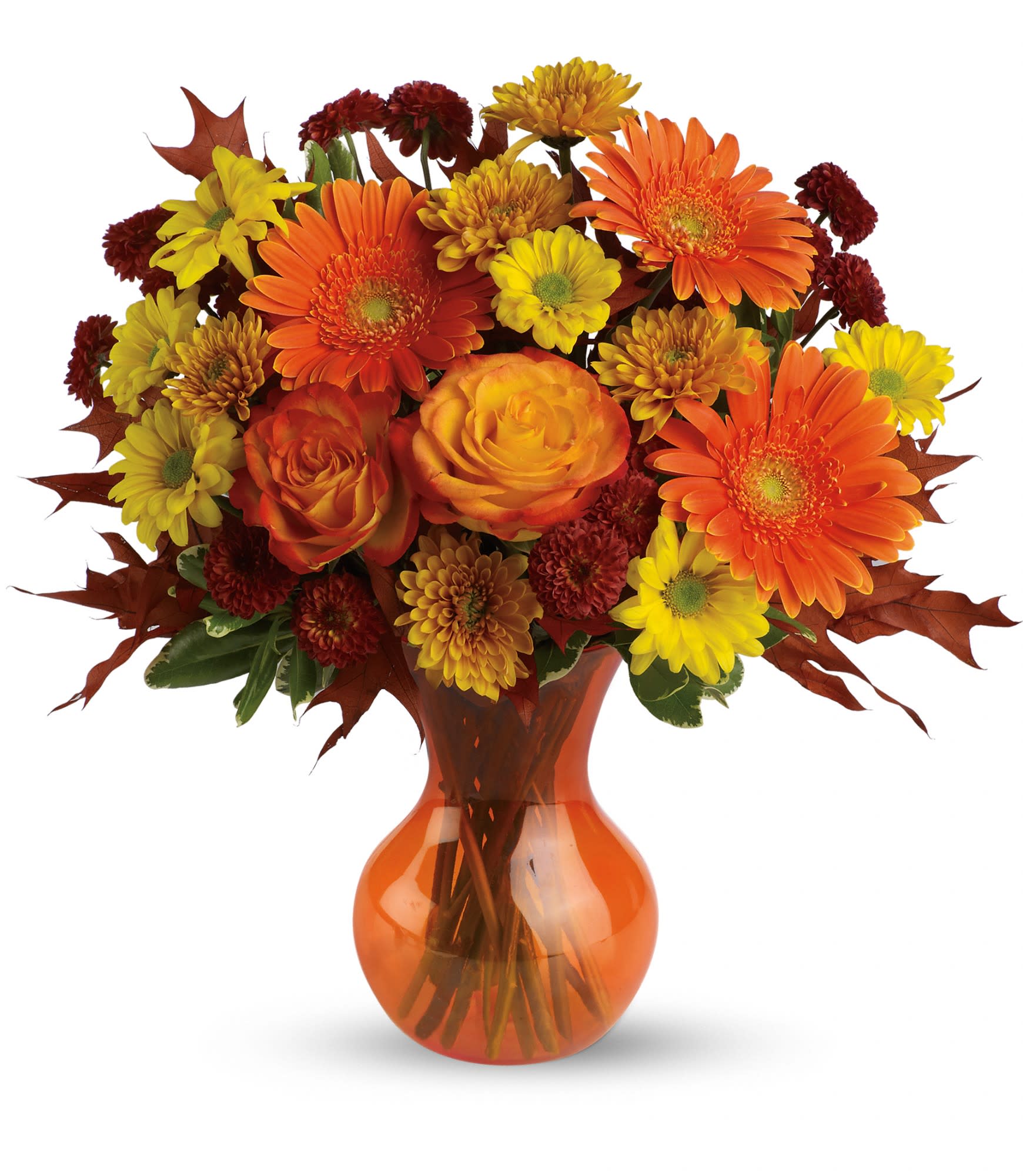 Teleflora's Forever Fall Tev03-2a - The exciting bouquet includes orange roses, orange gerberas, yellow daisy spray chrysanthemums, orange cushion spray chrysanthemums and rust button spray chrysanthemums accented with fresh greenery. Delivered in a sparkling orange Serendipity vase. Approximately 15 1/2&quot; W x 16&quot; H. TEV03-2A 