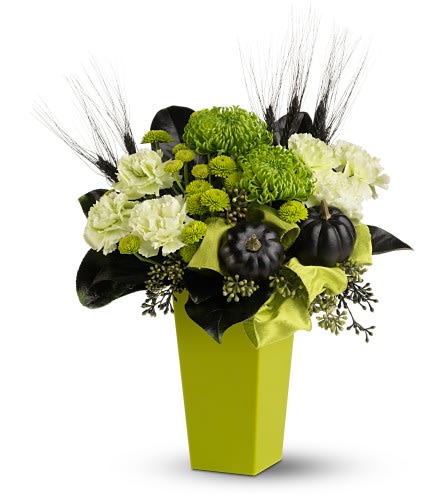 Ghoulish Green - This Halloween, go green! Give a glamorous and ghoulish mix of white and acid-green blossoms, mingled with spooky seasonal elements, and adorned with a chartreuse ribbon. It's a stylish decoration for a Halloween party, or a unique gift for an October birthday.  A mix of fresh green chrysanthemums and carnations – accented with black faux pumpkins, wheat and a chartreuse ribbon – is delivered in a tapered vase. Approximately 12&quot; (W) x 19&quot; (H)