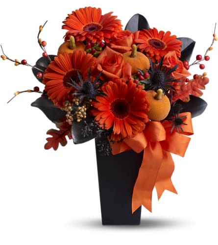 Jack-O'-Lantern Blooms -      A jack-o'-lantern is the most celebrated symbol of Halloween; and this bold 'n' spooky floral gift features flaming-orange flowers and pumpkins, plus stems and leaves that are as dark as night. Send this glam gift to a friend or business associate, for a true Halloween treat!       Fresh orange roses and gerberas â mixed with orange faux pumpkins, preserved oak leaves and black-sprayed stems and leaves â is delivered in a black container adorned with an orange satin ribbon. Approximately 14&quot; (W) x 26&quot; (H)  