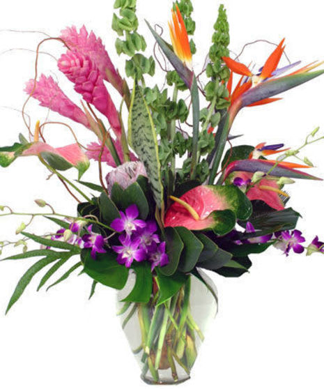 Tropical paradise Tropical paradise - Escape to the tropics with this vibrant array of tropical flowers. This is a beauty and may require a day notice to order the tropical fresh for you. Call the shop for same day delivery availability 603-601-6312