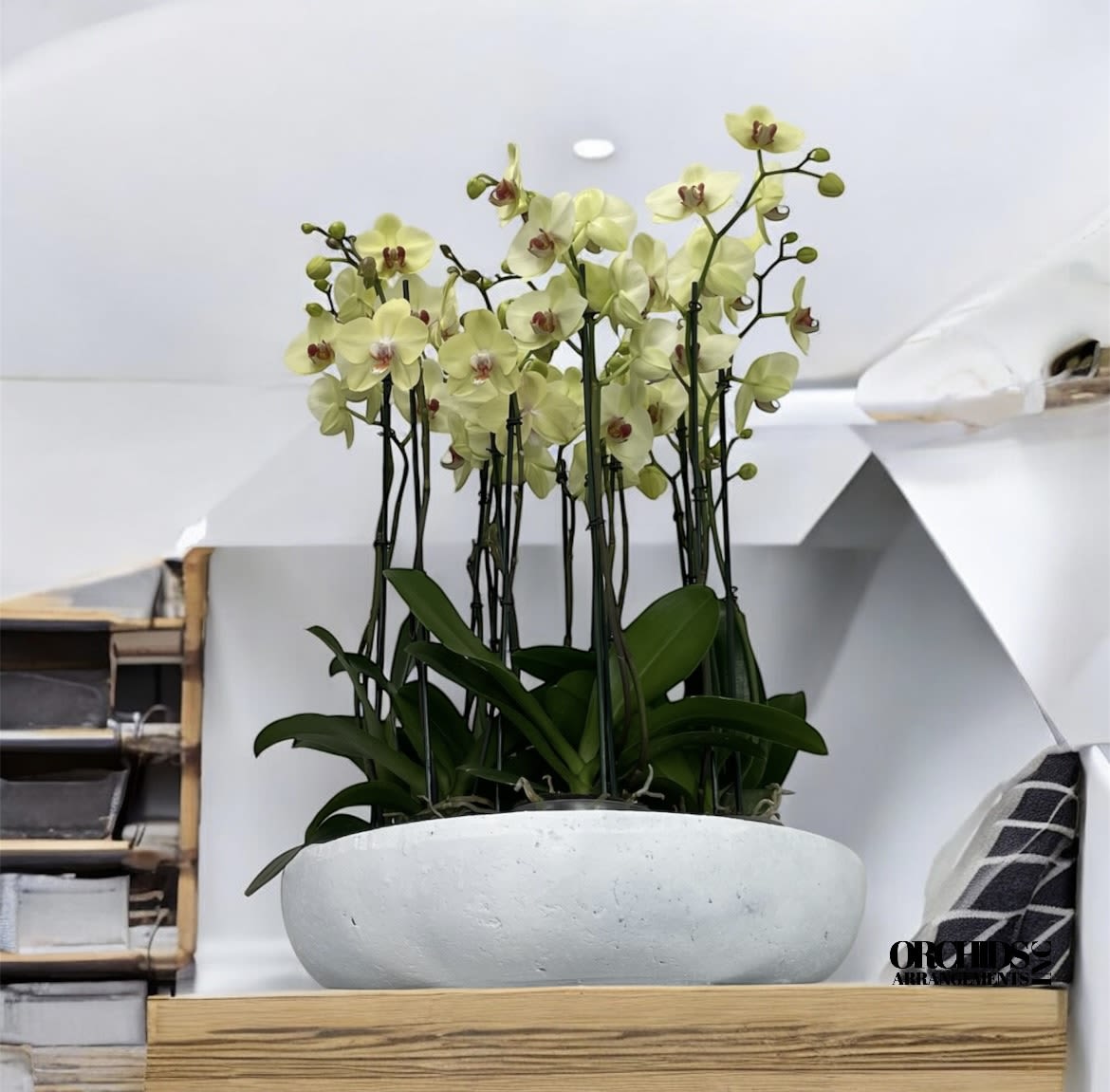 Flourished Orchids Arrangements Miami - A high quality Sixteen yellow orchids arrangement with a vase 20&quot; D X 4&quot; T. An orchids arrangement deliver for any occasion design with fresh natural real beautiful Phalaenopsis cascade orchids plants minimalist decor.