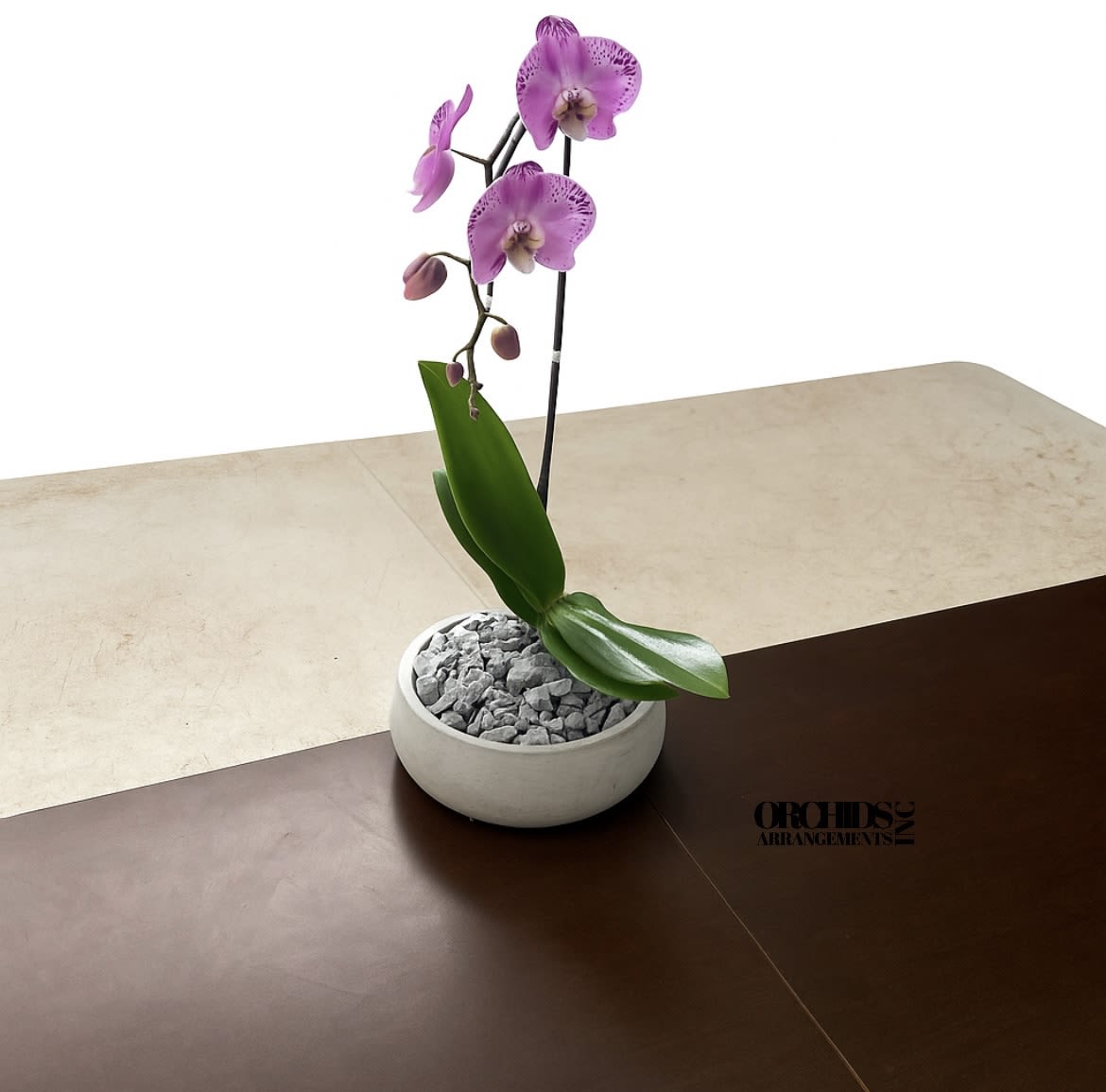 Aromatic Orchids Arrangements Miami - A high quality Single pink orchid arrangement with a vase 8.5&quot; D X 3&quot; T. An orchids arrangement deliver for any occasion design with fresh natural real beautiful Phalaenopsis cascade orchids plants minimalist decor. 