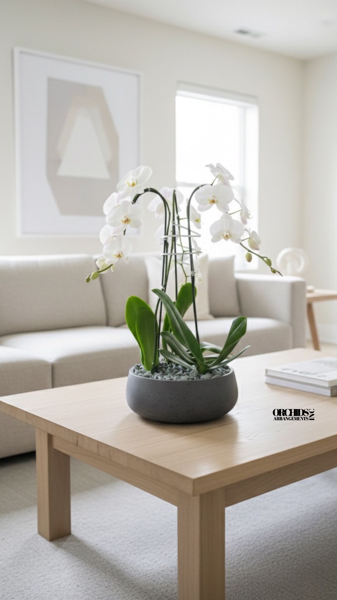 Radiant Orchids Arrangements Miami - A high quality Triple white orchids arrangement with a vase 12.5&quot; D X 5&quot; T. An orchids arrangement deliver for any occasion design with fresh natural real beautiful Phalaenopsis cascade orchids plants minimalist decor.  