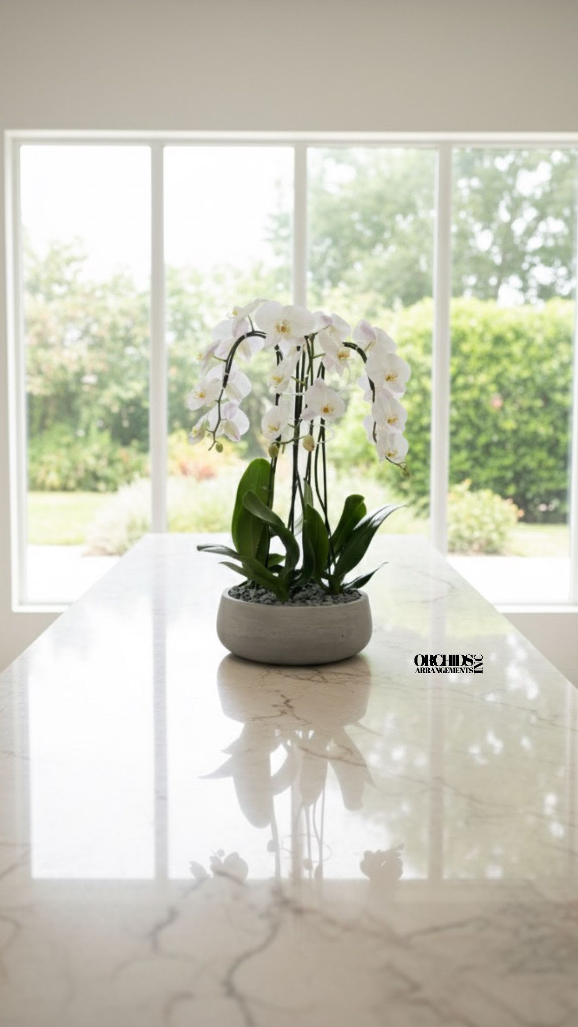 Divine Orchids Arrangements Miami - A high quality Five white orchids arrangement with a vase 12.5&quot; D X 5&quot; T. An orchids arrangement deliver for any occasion design with fresh natural real beautiful Phalaenopsis cascade orchids plants minimalist decor.