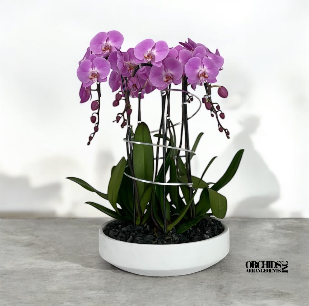 Dreamy Orchids Arrangements Miami - A high quality Seven pink orchids arrangement with a vase 15.5&quot; D X 4.25&quot; T. An orchids arrangement deliver for any occasion design with fresh natural real beautiful Phalaenopsis cascade orchids plants minimalist decor.