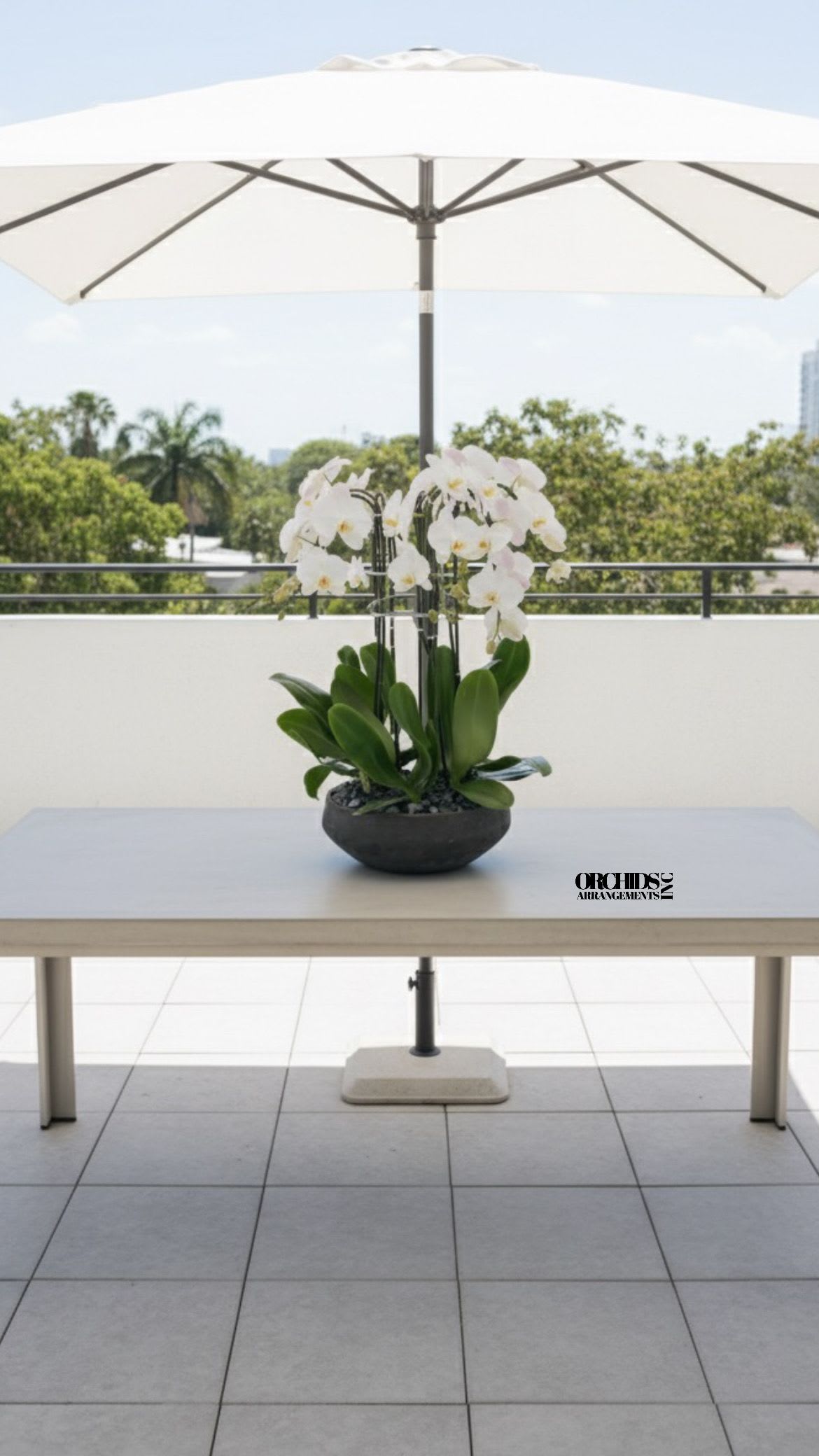 Today Orchids Arrangements Miami - A high quality Seven white orchids arrangement with a vase 14&quot; D X 5&quot; T. An orchids arrangement deliver for any occasion design with fresh natural real beautiful Phalaenopsis cascade orchids plants minimalist decor.