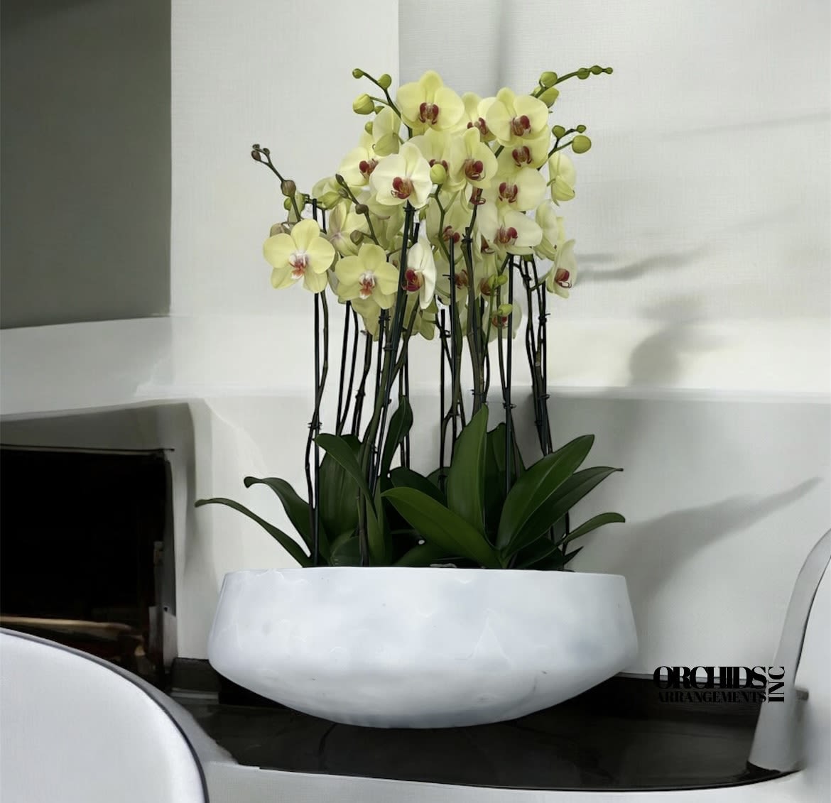 Peculiar orchids arrangements Miami Peculiar orchids arrangements Miami - A high quality Eighteen yellow orchids arrangement with a vase 20" D X 7" T. An orchids arrangement deliver for any occasion design with fresh natural real beautiful Phalaenopsis cascade orchids plants minimalist decor.