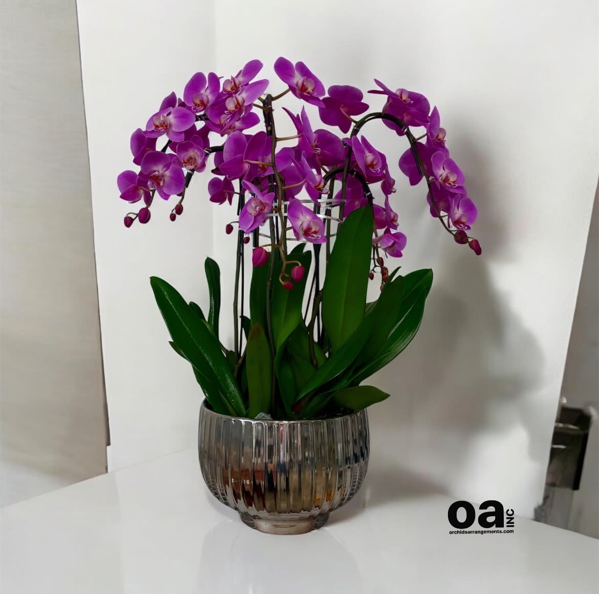 Personalized Orchids Arrangements Miami - A high quality Nine purple orchids arrangement with a vase 12&quot; D X 7&quot; T. An orchids arrangement deliver for any occasion design with fresh natural real beautiful Phalaenopsis cascade orchids plants minimalist decor.