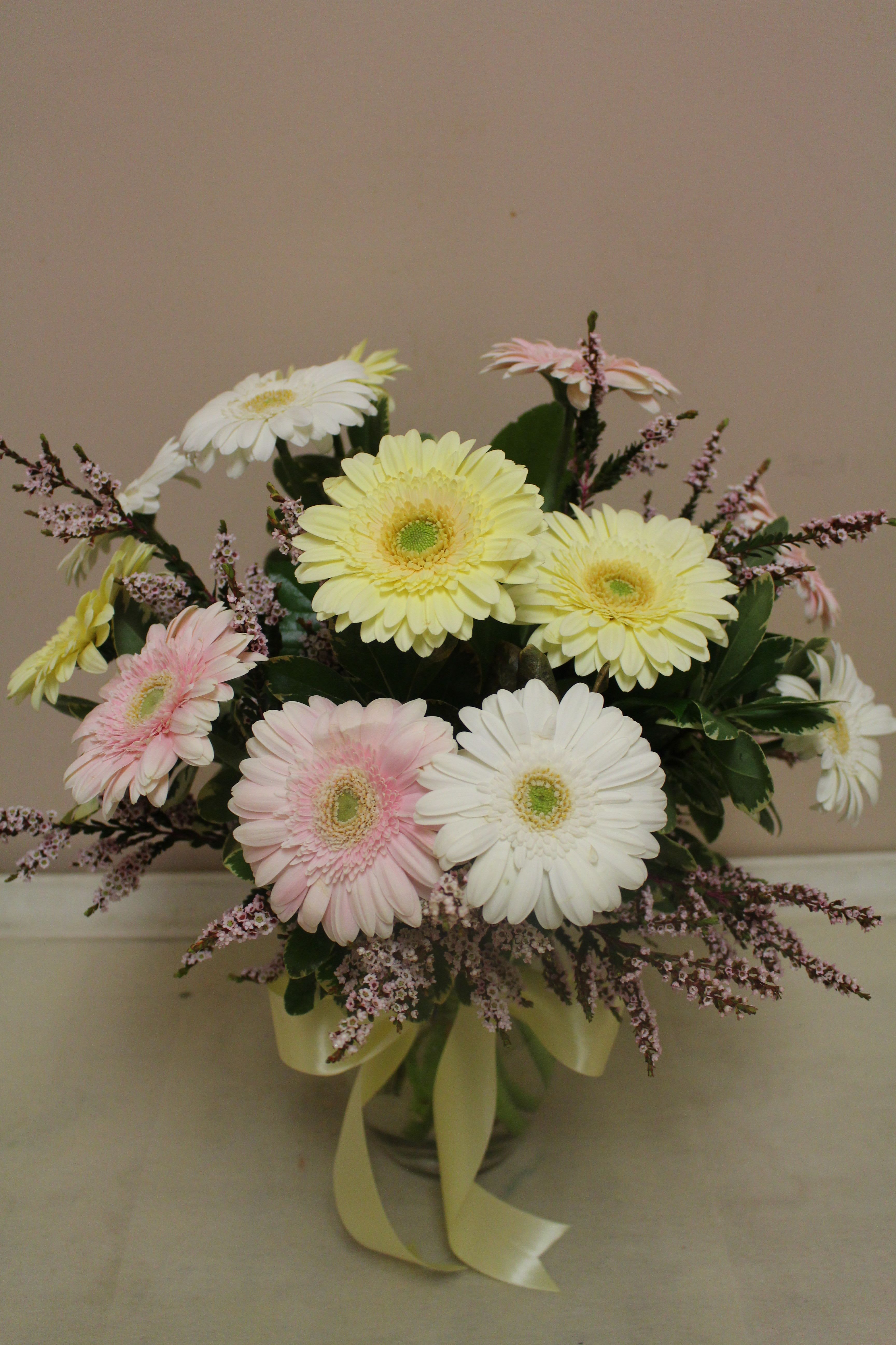 Gerbera dreams soft - A vase of gerbera daisies.  Soft gerberas arranged in a vase 