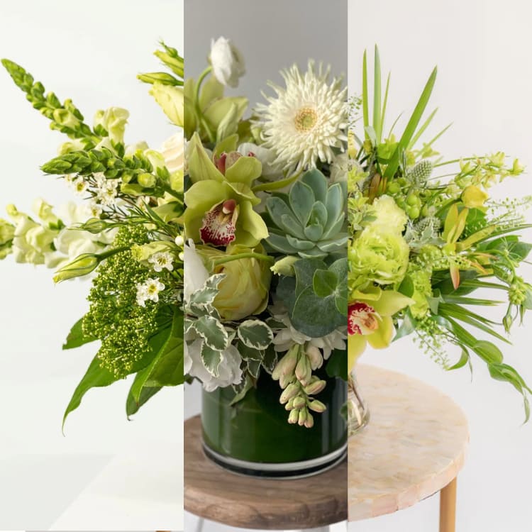 Designer's Pick - Green Arrangement in a Vase Designer's Pick - Green Arrangement in a Vase - Fresh and modern, this arrangement showcases lush green blooms and foliage in a serene monochromatic palette. Perfect for a natural, calming touch in any space or as a unique gift with timeless style in vase.