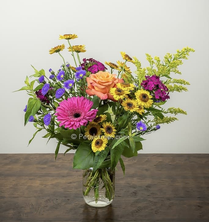 Cozy Blooms Mason Jar Cozy Blooms Mason Jar - Colored mason jar 6" - designer choice of fall flowers mixed in a vase