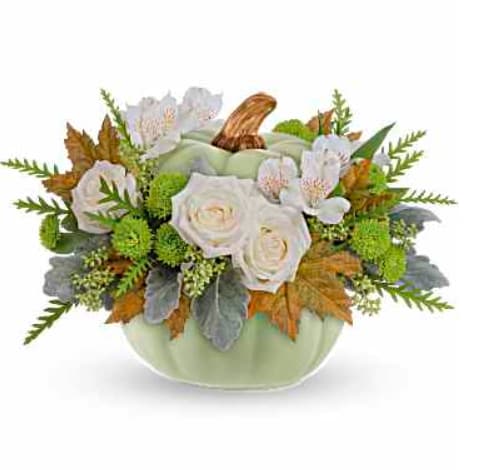 Serenity Sage Pumpkin - This beautiful Green Pumpkin Arrangement comes in three sizes. Using White Roses, Pompon Buttom Green Chrys, White Alsrtomeria and Fall Leaves.