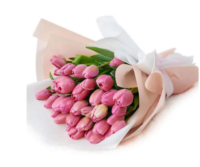 70 Stem Handwrapped Tulips 70 Stem Handwrapped Tulips - 70 Stem Handwrapped Tulips. Please specify color desired. If no color specified arrangement will be made with assorted colors or florist choice of colors.