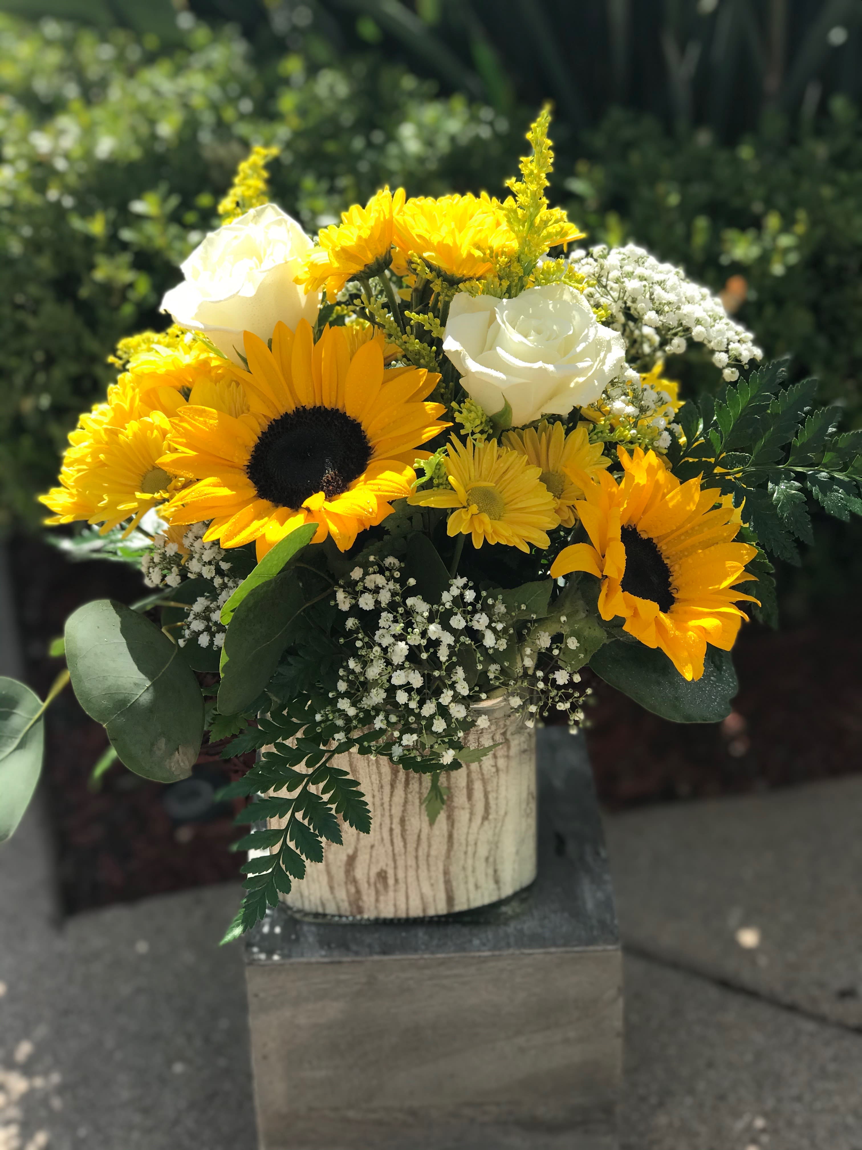 You Make Me Smile - Sunflowers, white roses, daisies and million star baby's breath are arranged in a glass cube. 