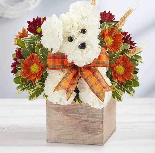 A-Dog-Able For Fall A-Dog-Able For Fall -  Our fall flower pup is a true delight. Crafted from white carnations, with harvest-colored blooms all around, he’s designed in our rustic grey-washed wooden cube, adding warmth and charm of this whimsical gift.