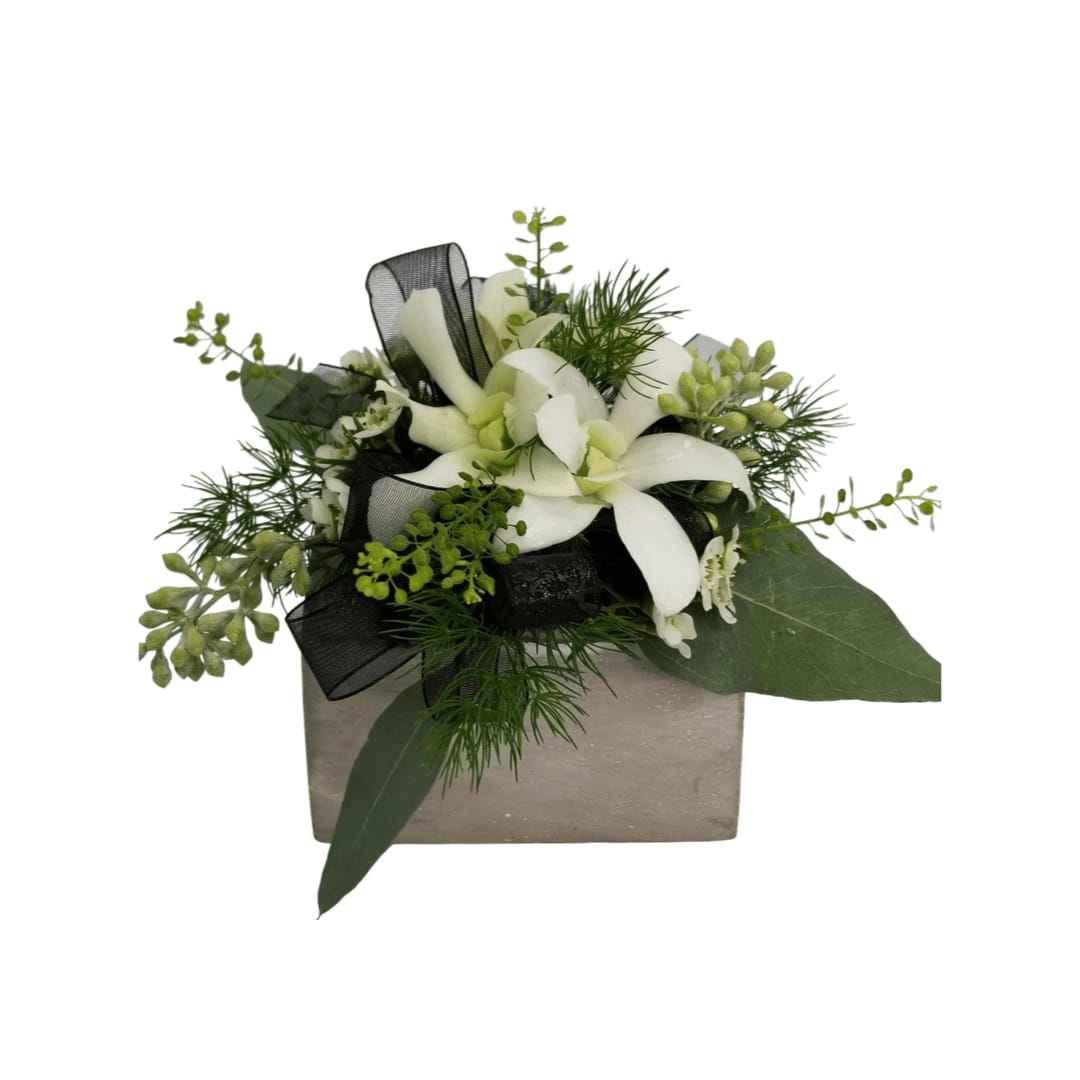 White Orchid Wrist Corsage White Orchid Wrist Corsage - This elegant white wrist corsage is a beautiful floral accessory, perfect for weddings, proms, or any formal event. Featuring a delicate arrangement of white orchids, soft green foliage, and subtle accents of greenery, this corsage exudes sophistication and grace. The addition of a stylish black mesh ribbon adds a modern touch to this timeless design, making it the perfect complement to a variety of formal outfits. Carefully crafted with attention to detail, this wrist corsage offers a luxurious floral experience that enhances any special occasion.