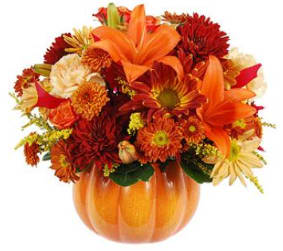 Autumn Harvest Ceramic Pumpkin Bouquet - Celebrate the season with this charming ceramic pumpkin arrangement, brimming with vibrant orange lilies, cheerful daisies, autumnal mums, and soft cream roses. Accented with sprigs of golden solidago, this centerpiece perfectly captures the warmth and beauty of fall—ideal for adding a festive touch to your home or gifting to someone special