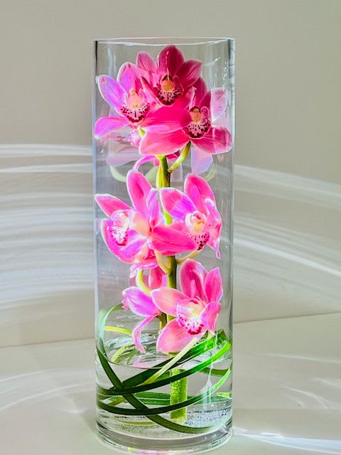 Zensational - A modern and simplistic arrangement with exotic green cymbidium orchids in a 13&quot; tall cylinder vase. Perfect for office spaces and a modern space. Colors may be green, pink (varies) or white.