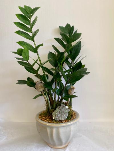 Easy Living Easy Living - 12 inch Vigoro plant pillowed in fresh moss and stone with crystal stone and dried pod accessory nestled in a ceramic pot.