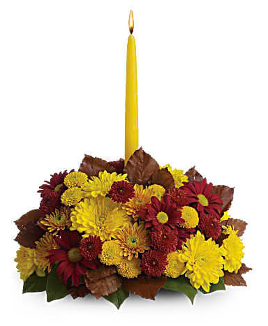 Harvest Happiness Centerpiece - Happy yellow mums and a golden taper candle bring sunshine to your Thanksgiving dinner table. Lovely as a Thanksgiving centerpiece or stylish seasonal décor anywhere in the house, the burgundy and yellow fall flowers look especially rich mixed with brown copper beech leaves. Red matsumoto asters and a variety of burgundy, yellow and bronze mums are accented with green salal and brown copper beech leaves. A cheerful yellow taper candle glows above it all. Orientation: All-Around