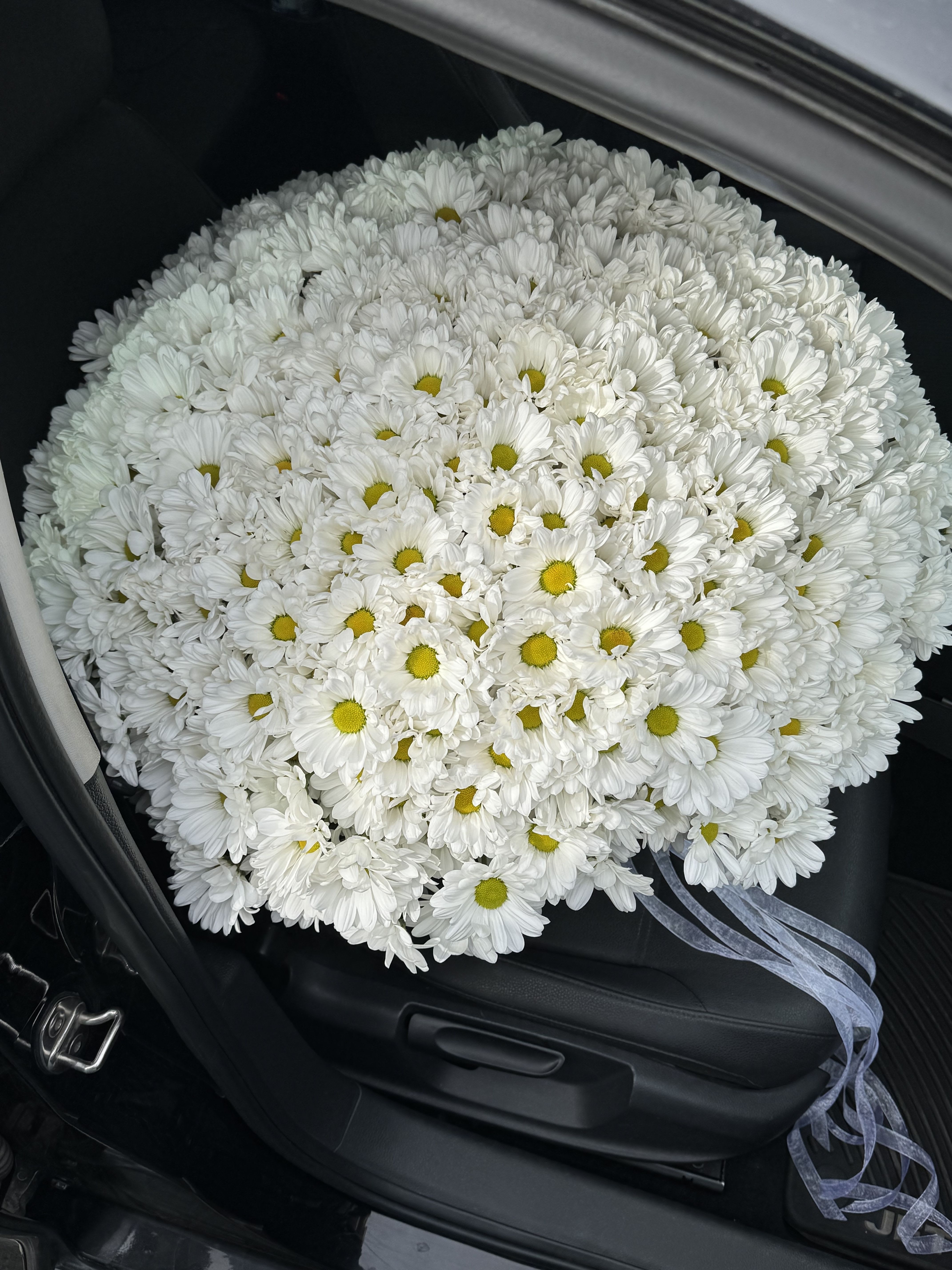 The Grandeur of 148 Blooms: A Bouquet of Chrysanthemums - There are bouquets that impress, and then there are those that truly leave you speechless. Our luxurious arrangement of 148 chrysanthemums is not just a gift—it is an unforgettable gesture, a symbol of boundless admiration and deep respect. With its sheer size and breathtaking beauty, this bouquet turns every occasion into a memory that will be cherished forever.  Imagine the moment: the doorbell rings, and in comes an enormous bouquet, overflowing with vibrant blossoms, their petals glowing with freshness and vitality. 148 flowers, carefully selected and artfully arranged, create a wave of fragrance, purity, and charm. Each bloom carries a story of tenderness, joy, and affection.  This bouquet is perfect for: 	•	A milestone celebration – anniversaries, weddings, or birthdays that deserve something extraordinary. 	•	A declaration of love – because sometimes words are not enough, and only a gesture of this scale can convey your feelings. 	•	Corporate events or grand gestures – a bouquet of 148 blooms makes a striking centerpiece and leaves an unforgettable impression.  Every flower in this arrangement is handpicked for its freshness and long-lasting beauty. Our florists carefully design the composition so that the blooms look harmonious from every angle, creating a natural flow of color and texture. Tied together with elegant ribbon and delivered in pristine condition, this bouquet embodies both sophistication and generosity.