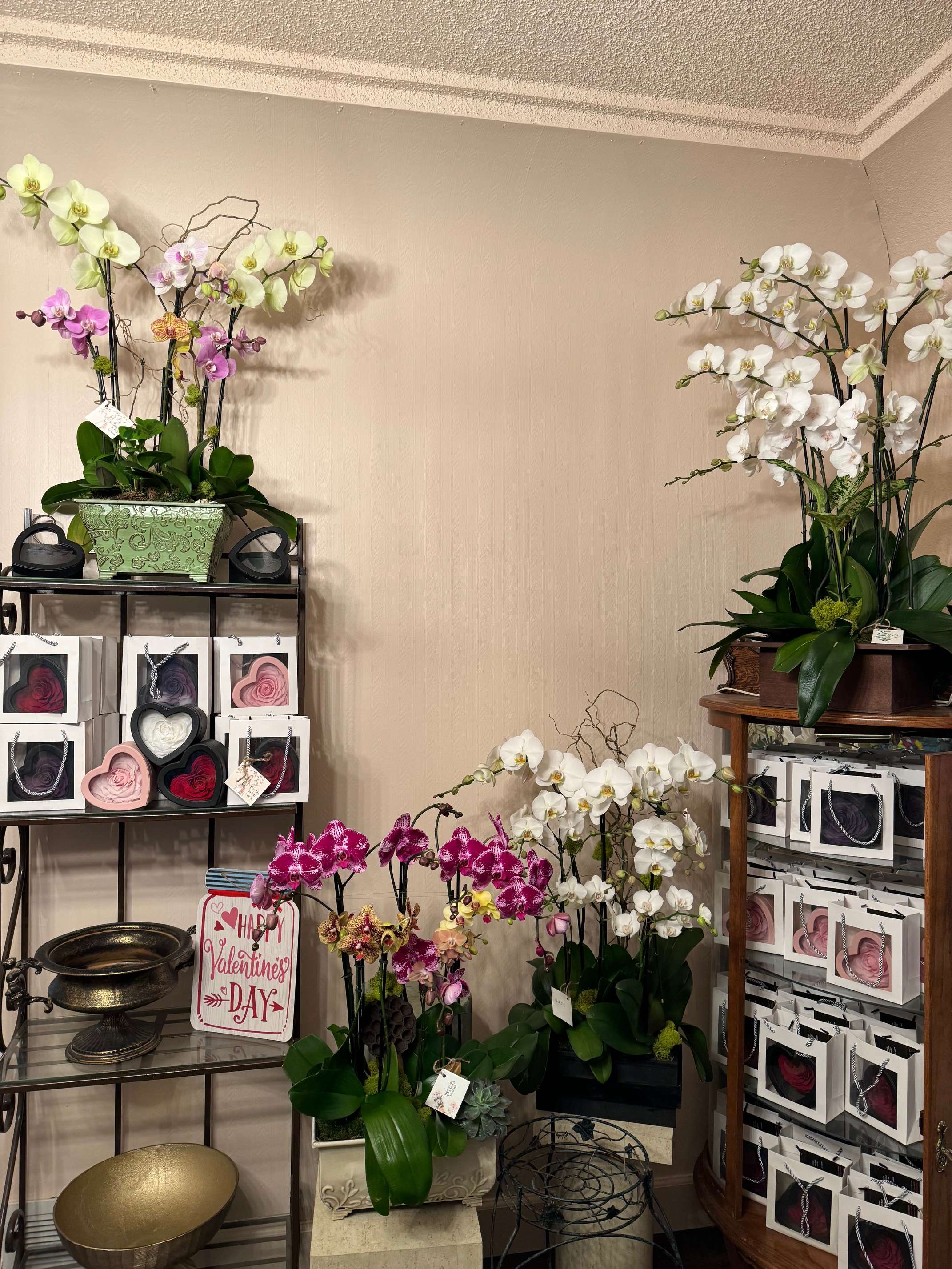 Assorted Orchid Planter - Assorted Orchid Planter price ranging from $135-$250. 