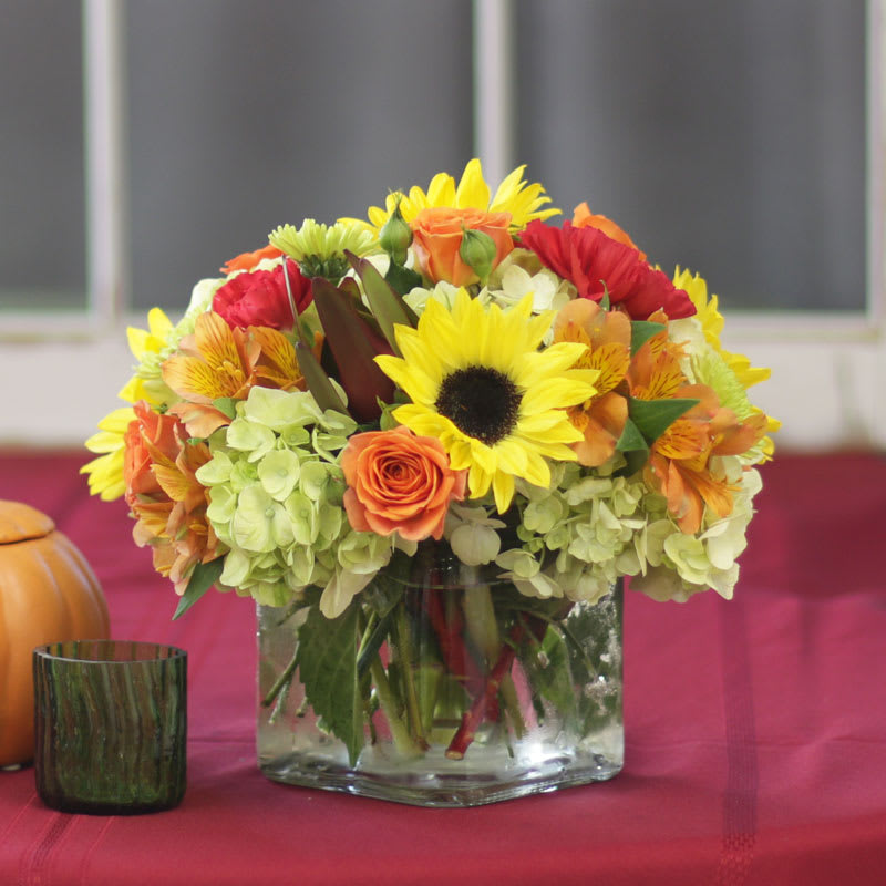 Festive Fall Cube Arrangement - Festive Fall Cube Arrangement with Hydrangea, Sunflowers, Red Carnations, Orange Spray Roses, Orange Alstromeria, Green Button Mums and Leucadendron.