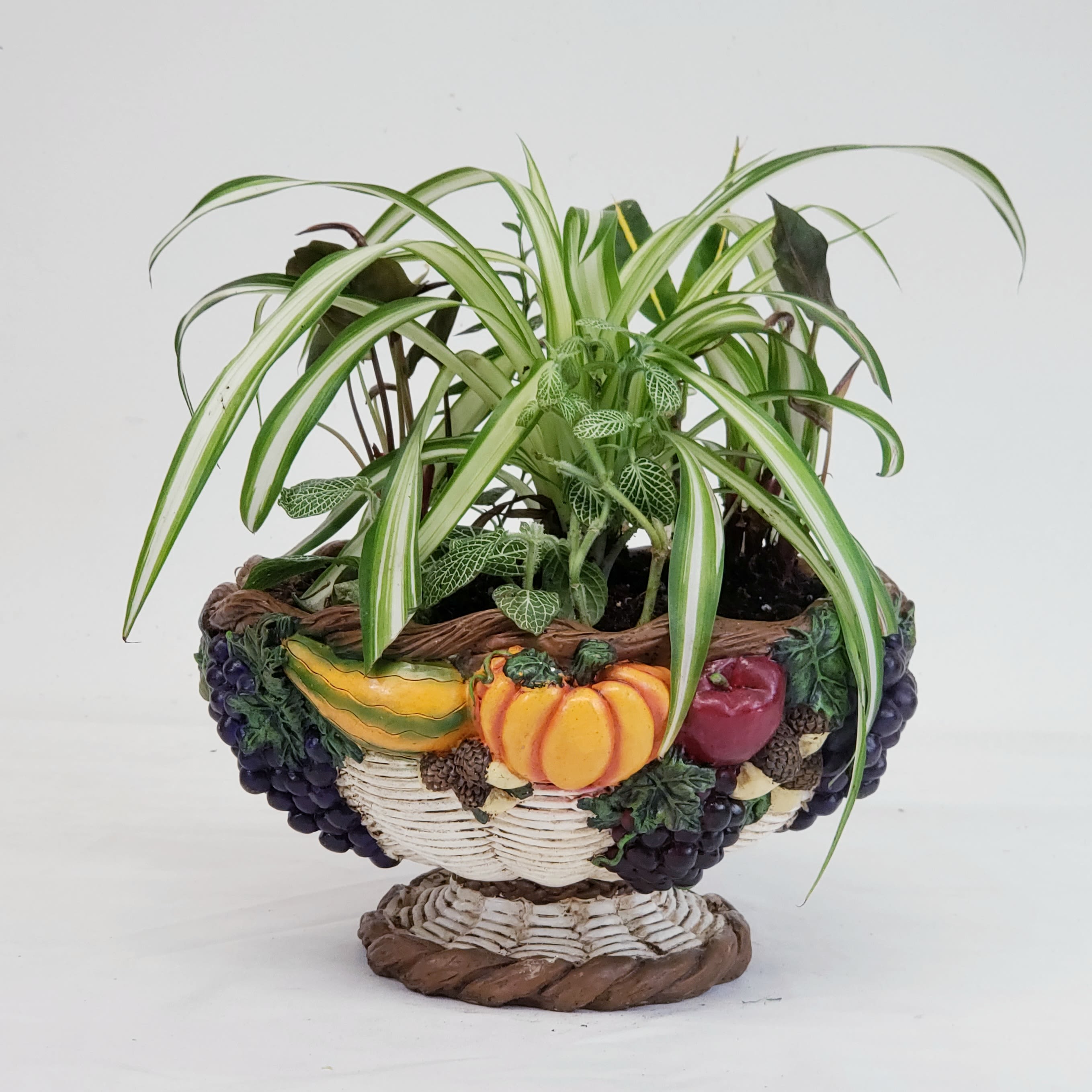 Harvest Planter - Celebrate the bounty of the season with this beautifully sculpted 9” harvest planter. Filled with live plants, it makes a wonderful gift for lasting enjoyment. 
