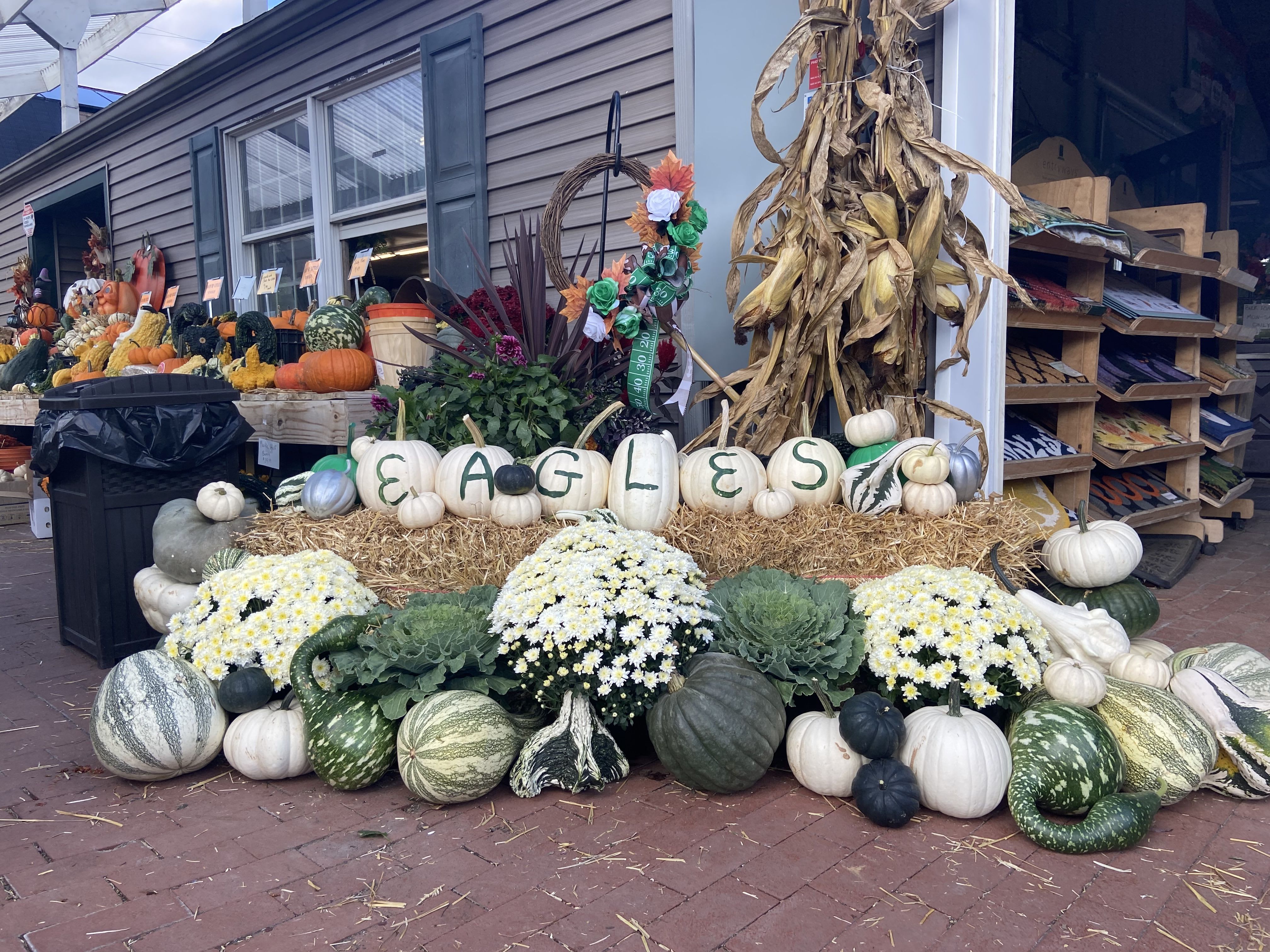 Go Birds! Porch Decorating Package Go Birds! Porch Decorating Package - For some, it's spooky season and for those who bleed green, it's football season. Celebrate the Birds with this festive porch package that leans on greens and whites with mums, pumpkins, and more. Please note that the pictures are meant as examples of scale and style. Actually products may vary depending on availability. If you'd like to order something specific, or at a price point not indicated, please give us a call. Please allow a few days for fulfillment. These porch decorations are created with perishable products. We are not responsible for damage caused by time, weather, or animals.
