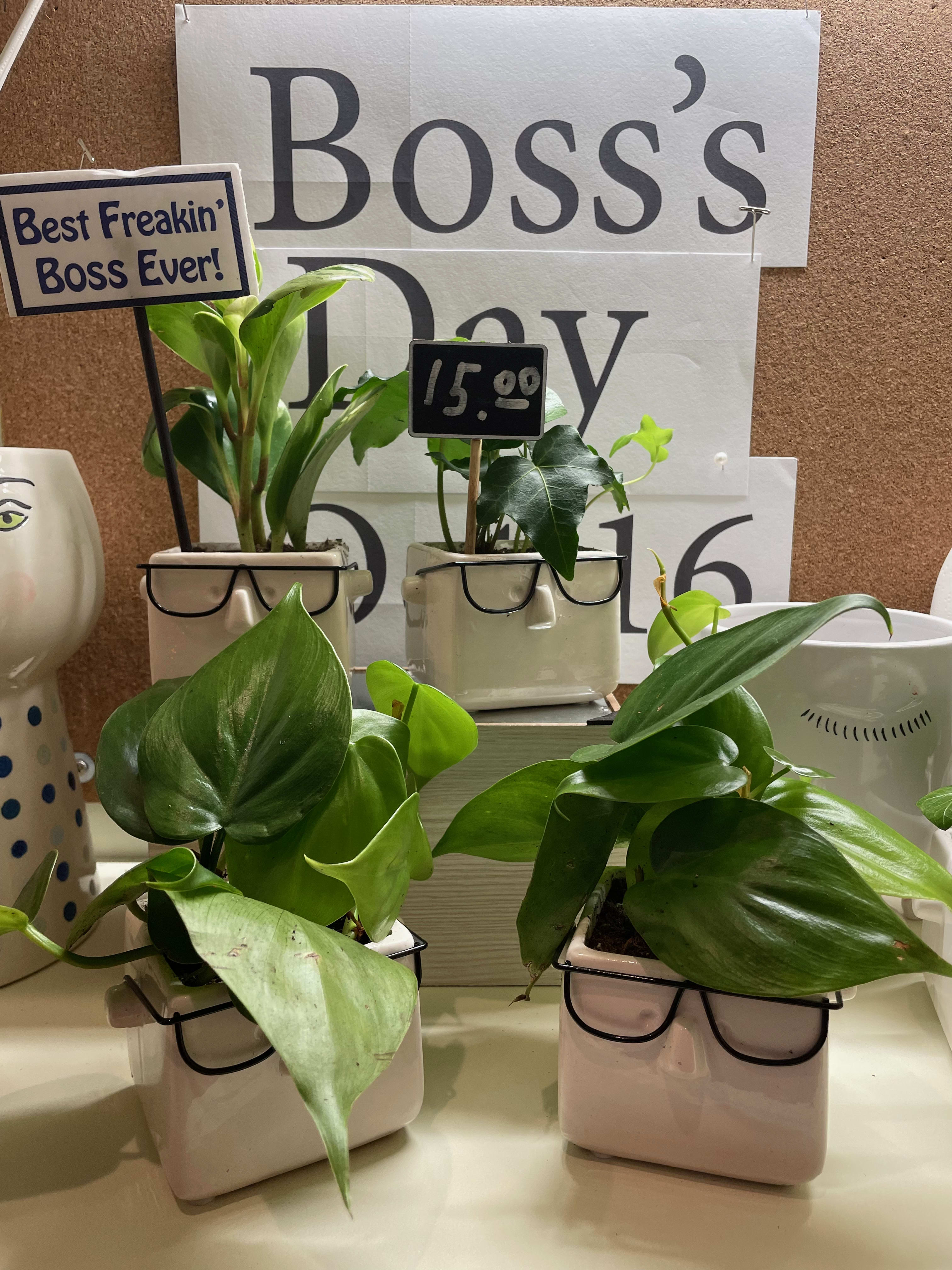 Planters for Boss - We have something for everyone. Please indicate in the special instructions if your boss is into something specific, male or female. We will create something special to suit their taste. All plants come with care instructions. 