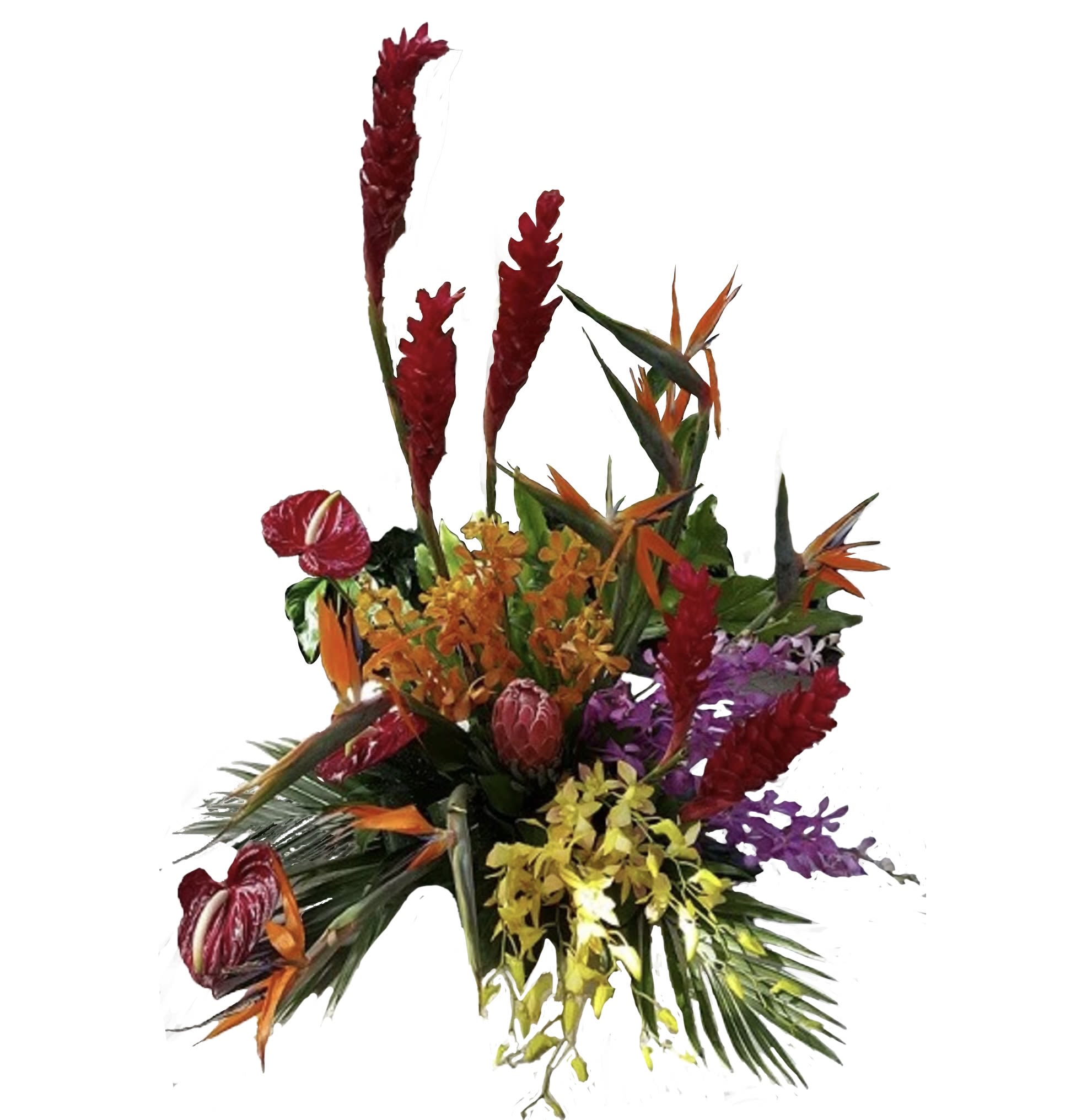 The Big Kahuna Tropical  The Big Kahuna Tropical  - Exuberant Tropical Design of Ginger Red, Birds of Paradise Orange, Anthirium Red, Protea, Orchids Dendrobium Yellow, Orchids Mokara Orange and Purple accented with Tropical Foliages.  TRO004