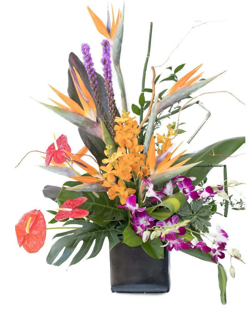 Tantalizingly Tropical - BRF509 - Tantalizingly Tropical A beautiful mix of tropical flowers in bright colors sure to remind you of the tropics. 
